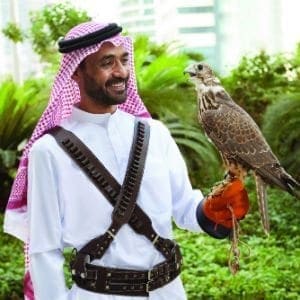 Shangri-La Hotel Doha falcon