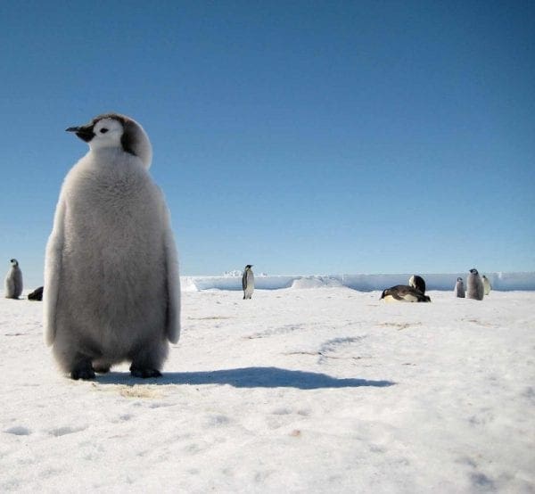 Adventure to the South