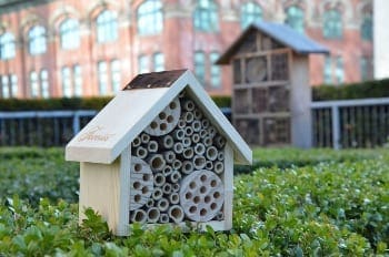 Fairmont Bee Sustainable Programming