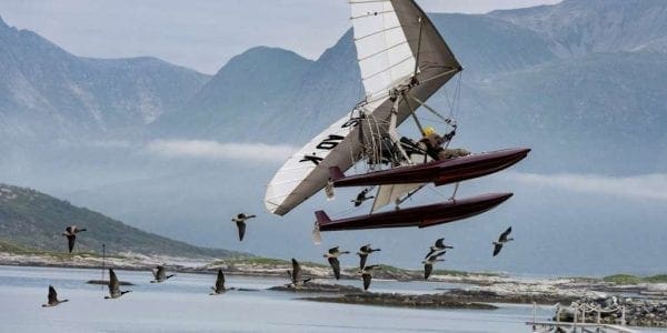 A Barnacle Goose Odyssey