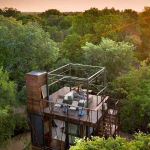 Ngala Treehouse