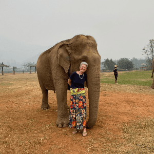 137 Pillars elephant conservation