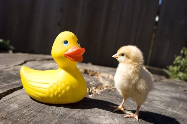 first impressions count