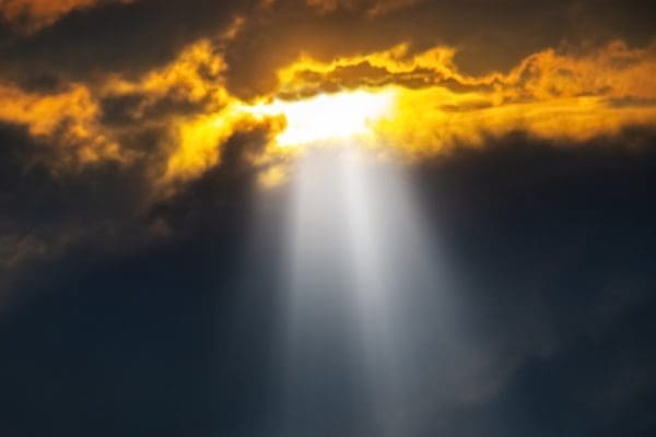 single source of guest truth