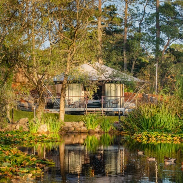 Parklands Blue Mountains