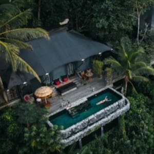 Capella Hotels and Resorts