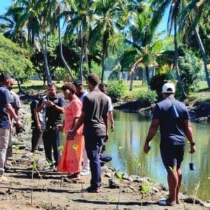 Sheraton Fiji Resorts
