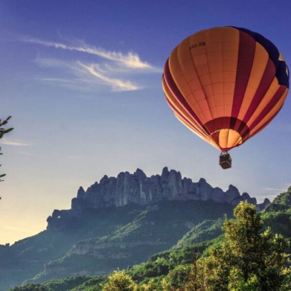 The Experience Store