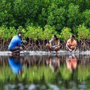 Fiji Marriott Resort Momi Bay