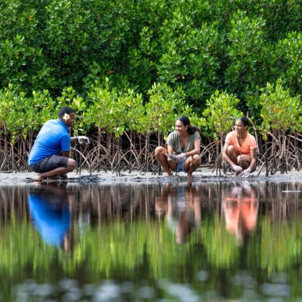 Fiji Marriott Resort Momi Bay