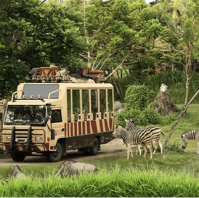 Taman Safari Bali
