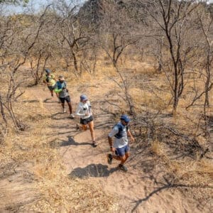 Desert & Delta Safaris