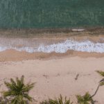 Cayuga Hospitality Consultants