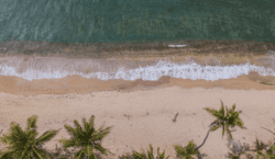 Cayuga Hospitality Consultants