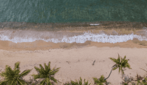 Cayuga Hospitality Consultants