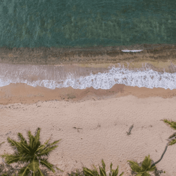 Cayuga Hospitality Consultants