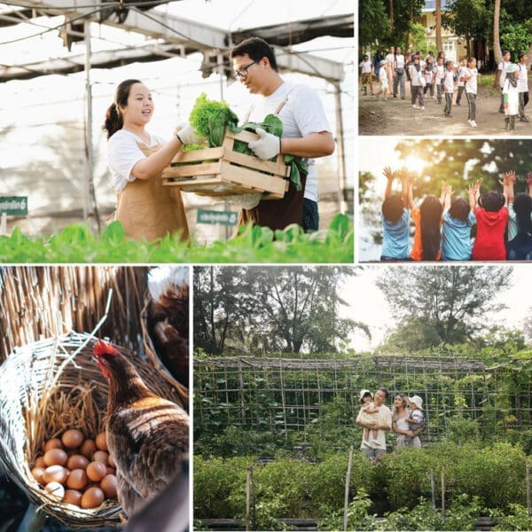 Dusit Hotels and Resorts