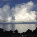 Cayuga Hospitality Consultants