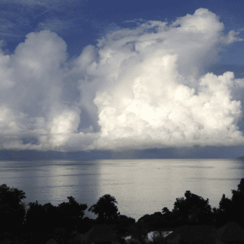 Cayuga Hospitality Consultants