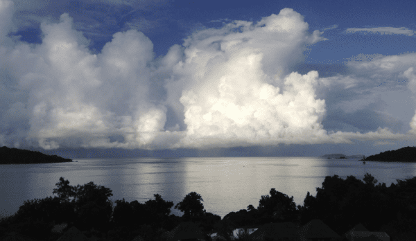 Cayuga Hospitality Consultants