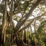 InterContinental Danang