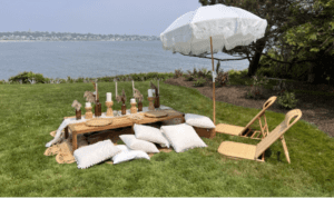 Cayuga Hospitality Consultants