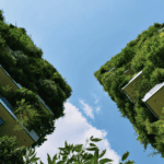 Cayuga Hospitality Consultants